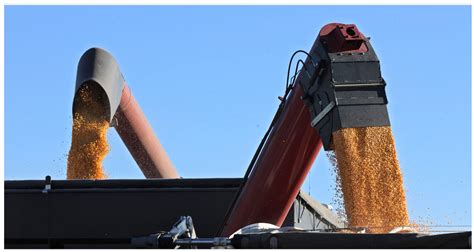 Chs grain bids - CHS NEWS. Published September 13, 2023 CHS intends to return $730 million to owners. Published August 21, 2023 CHS Northern Grain Market Commentary 08.18.23. Published July 13, 2023 CHS reports third quarter earnings. Published April 5, 2023 CHS reports second quarter earnings. Published February 14, 2023 Lead the way …